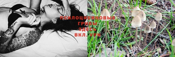 эйфоретик Пестово